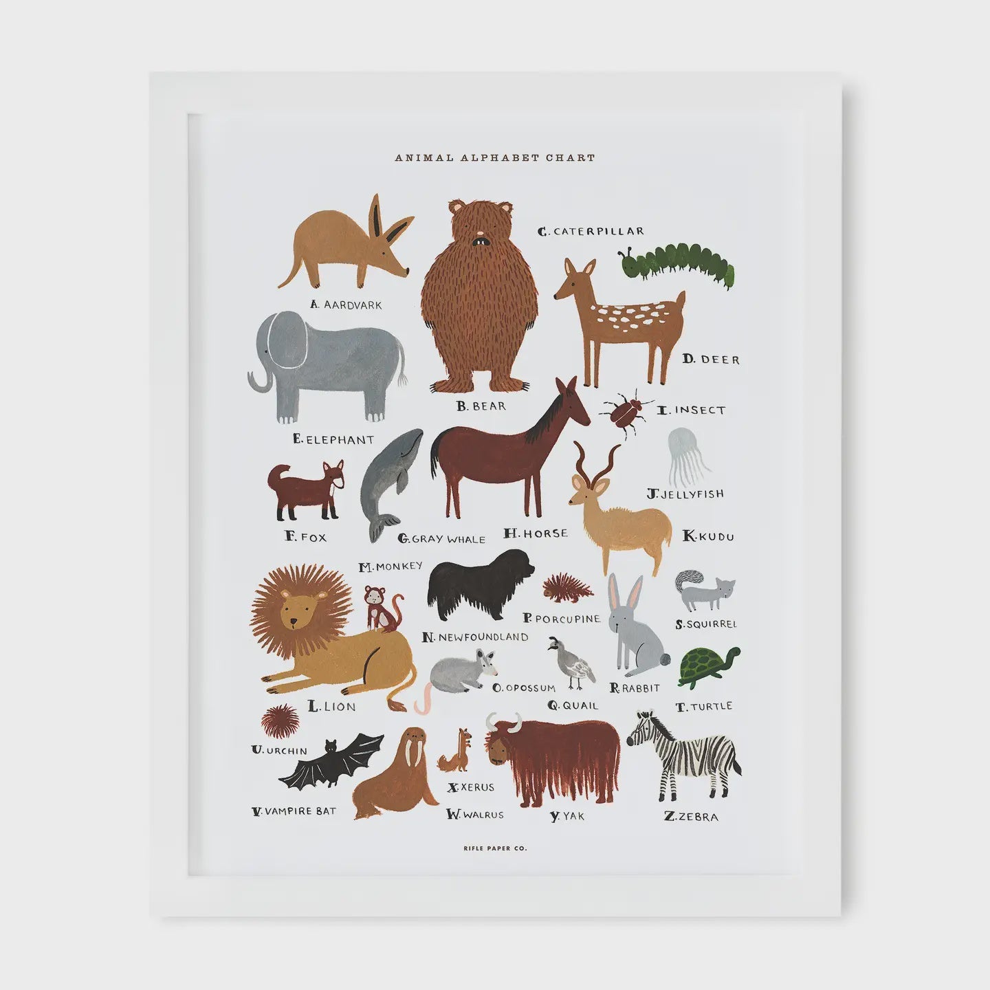 Animal Alphabet Chart - 16x20"