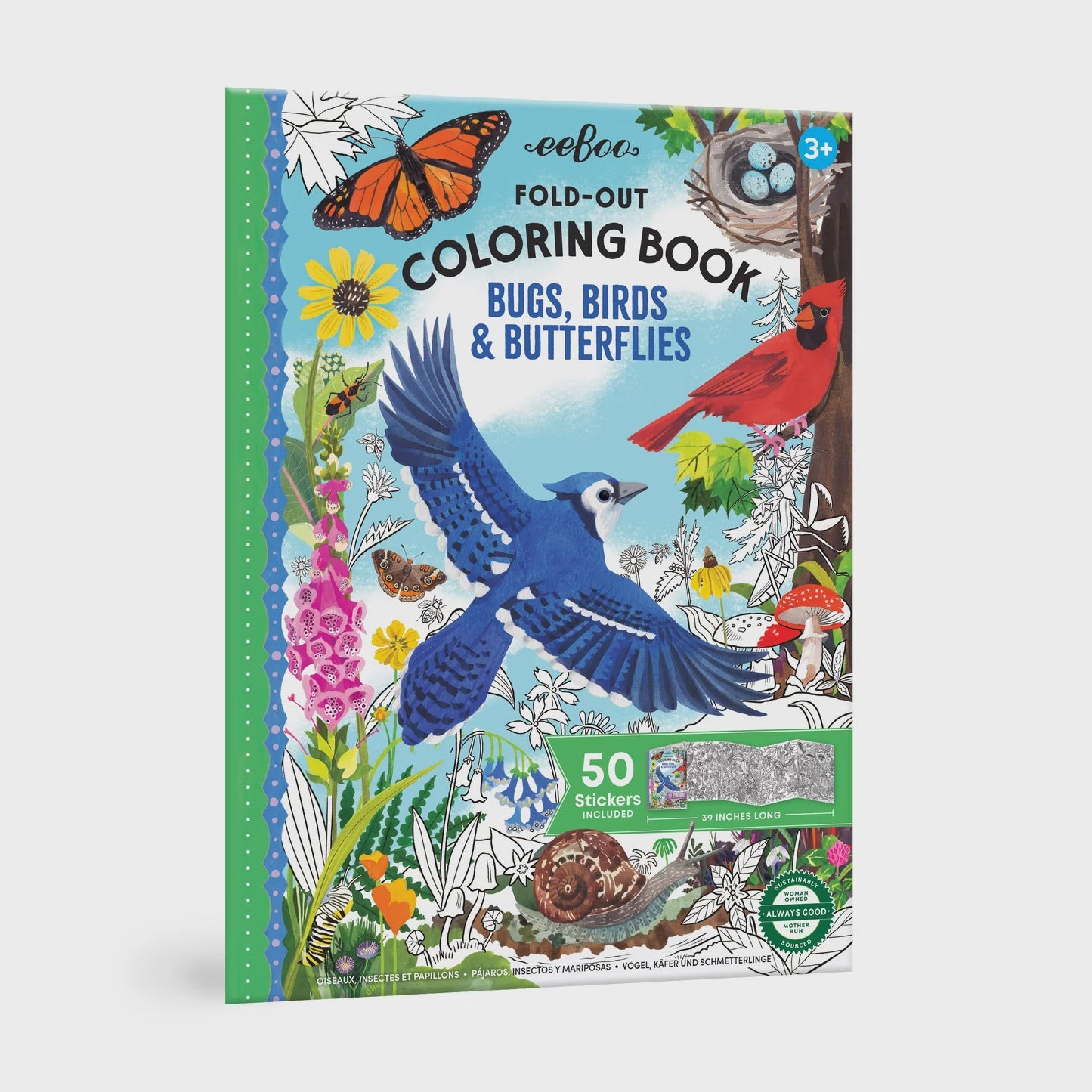 Bugs, Birds, & Butterflies Fold-Out Coloring Book