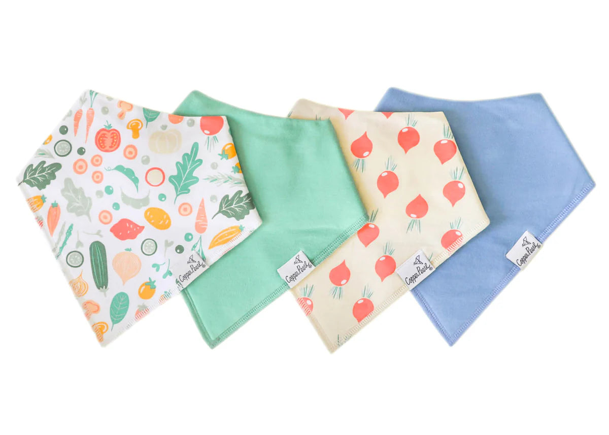 Baby Bandana Bib Set - Veggies