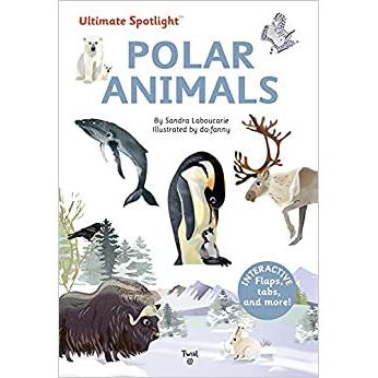 Ultimate Spotlight: Polar Animals